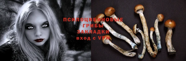 не бодяженный Осинники