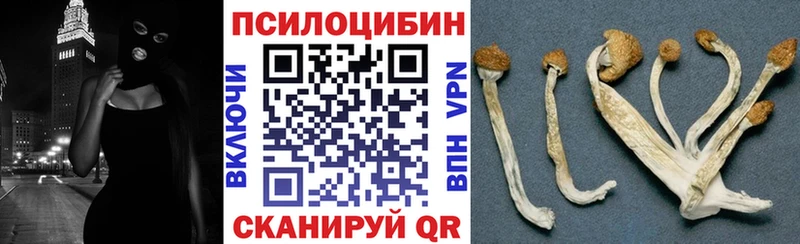 купить наркотик  Нариманов  omg как зайти  Галлюциногенные грибы Psilocybe 